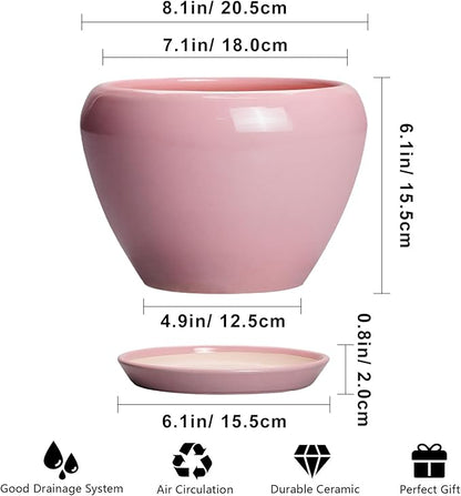 Ceramic Modern Glaze Succulent Planter Pot with Drainage Hole and Saucer 8 Inch Round Flower Plant Pot for Indoor Outdoor Herb Snake Plants, Pink