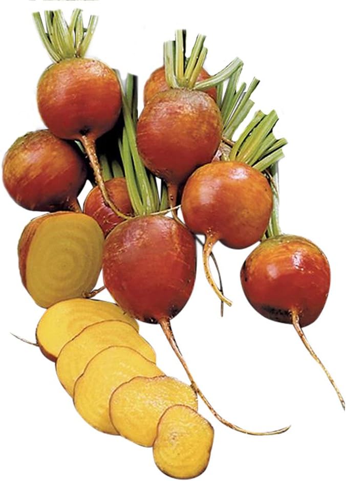Burpee Golden Beet Seeds 200 seeds
