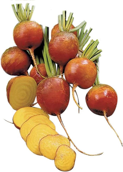 Burpee Golden Beet Seeds 200 seeds