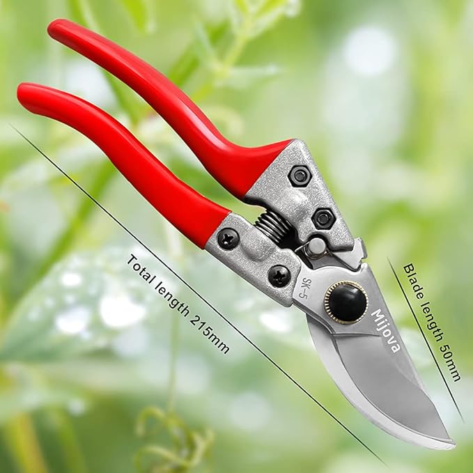 Professional Garden Shears, Sharp Pruning Shears for Gardening, Secateurs for Plants, Flowers, Twigs, Roses, Grapes, Bonsai Trees, Ideal Garden Clippers & Trimmers (silver)