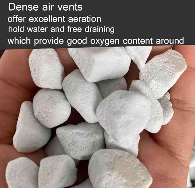 30QT Organic Perlite Horticultural Soil Amendment for Plants and Enhanced Drainage Enhanced