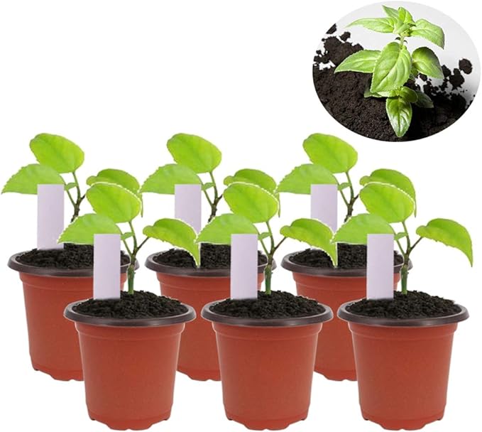 200 Pcs 4 Inch Plastic Seedlings Plants Nursery Pots with 200 Pcs Waterproof Plastic Plant Tags and 2 Set Transplanting Digging Mini Tools for Outdoor use(Red Brown)