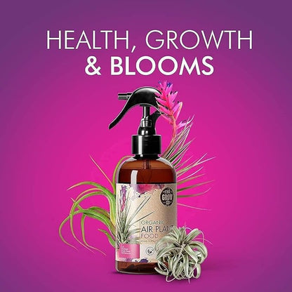 Organic Ready to Spray Air Plant Food - Fertilizer Mist for Weekly Use - Best for Live Tillandisa, Bromeliads, and Other Common Air Plants (8 oz)