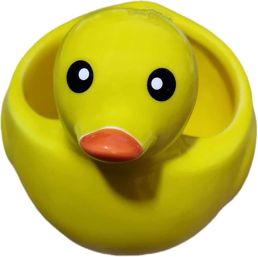 Cute Indoor Cartoon Animal Duck Shaped Ceramic Succulent Cactus Flower Plant Pots Planter with Drainage Hole - Plant Not Included (Medium)