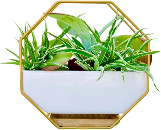 IRYL Wall Planter for Indoor Plants - Ceramic Wall Hanging Planter Set with Bamboo Tray & Hooks - Decorative Wall Plant Holder - Modern Wall Planters for Vertical Garden Home Decor - Golden