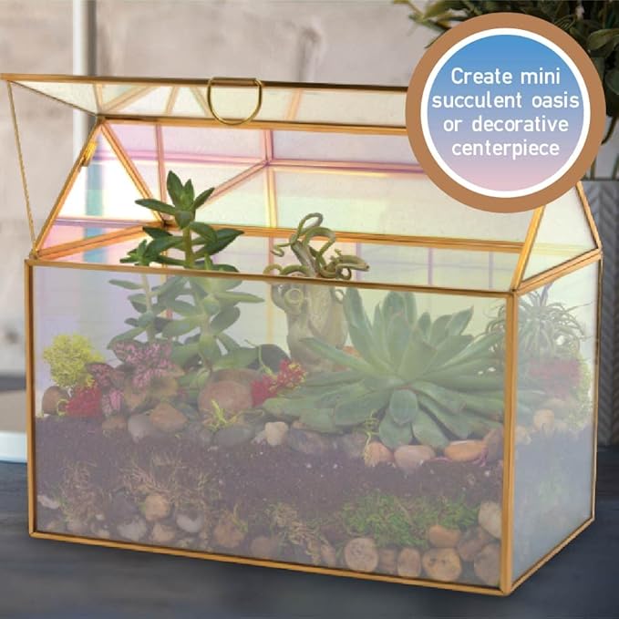 D'Eco Iridescent Glass House Centerpiece (10x6x8) - Table Planter Terrarium - Valentine's Day Home Decor & Wedding Letterbox - Fill with Succulents, Moss, Roses & Chocolates - Valentines Gift for Her