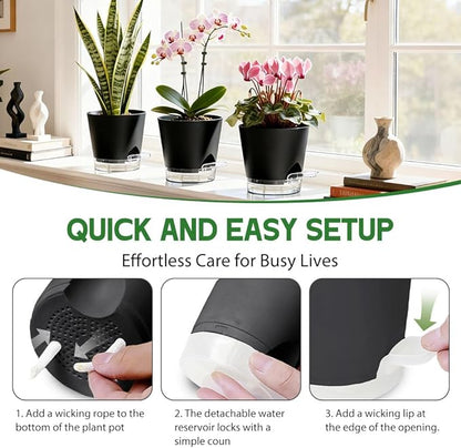 Self Watering Pots for Plants, 2026 New Flower Plant Pots with Drainage Holes, Wicking and Clear Reservoirs for Succulent, Aloe, Cacti and Others - 6 Pack (Black, 6")