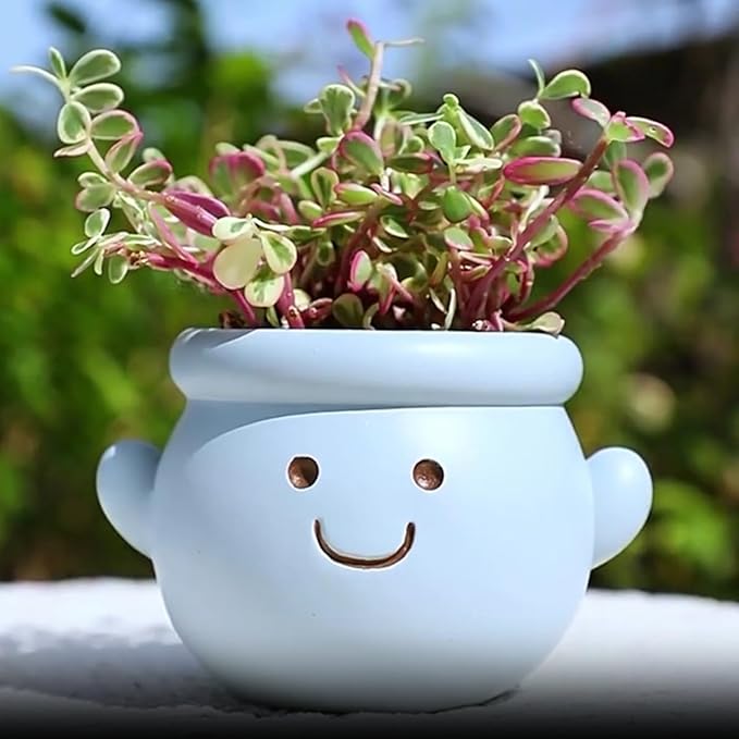 Cute Face Planter Pot, Small Resin Head Planters for Indoor Plants, Funny Smiling Face Flower Pot Succulent Planter with Drainage Hole, Gift IdeaI for Birthday Christmas (Blue)