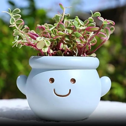Cute Face Planter Pot, Small Resin Head Planters for Indoor Plants, Funny Smiling Face Flower Pot Succulent Planter with Drainage Hole, Gift IdeaI for Birthday Christmas (Blue)