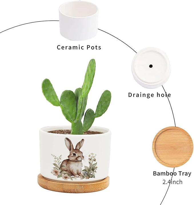DreamAutumn Watercolor Easter Bunny Ceramic Pots for Plants with Drainage Holes Round Flower Pot Bamboo Tray Orchid Pot Succulents Pots for Outdoor Indoor Plants