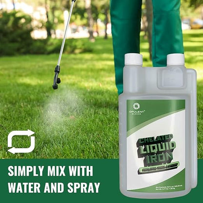 Chelated Liquid Iron (32 fl. oz.) - Liquid Chelated Iron for Lawns, Trees, and Shrubs - 6.5% Iron - EDTA Free - Made in The U.S.A.