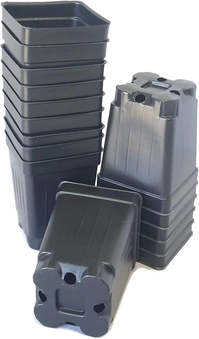 Set of 3 Trays and 96-2.5" Square Extra deep pots