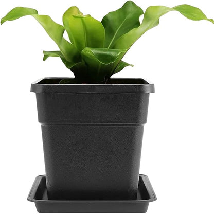 JEUIHAU 16 Packs 5.5 Inch Plastic Square Nursery Pots, Black Square Nursery Plant Pot with Saucers, Seedling Nursery Transplanting Planter for Flower, Succulent, Herb, Small Potted Plants