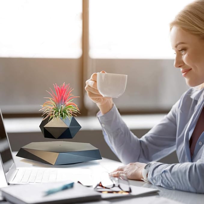 Levitating Plant Pot, Floating Plant Pot Small Floating Flower Pot, 360° Rotating Floating Pots for Plants, Floating Planter for Levitating Decor, Levitating Display Home Office Desk Decor (Black)