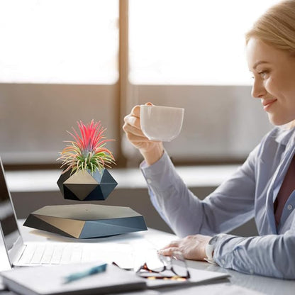 Levitating Plant Pot, Floating Plant Pot Small Floating Flower Pot, 360° Rotating Floating Pots for Plants, Floating Planter for Levitating Decor, Levitating Display Home Office Desk Decor (Black)