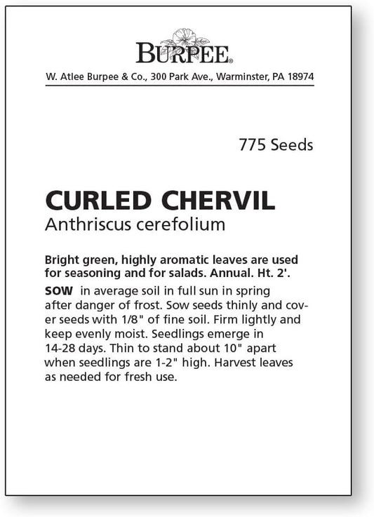 Burpee Curled Chervil Seeds 775 seeds