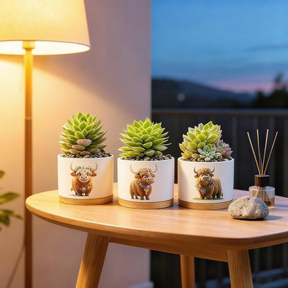 Highland Cow Planters for Indoor Plants – 1350°C Kiln-Fired Fine Ceramic Succulent Planter Set of 3, Funny Animal Pots for Room, Bathroom, Yoga, Meditation Decor (No Plant Included)