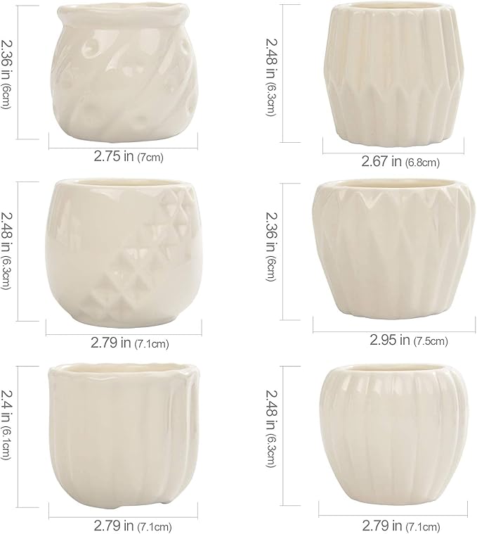 B SEPOR Set of 6 White Simple Porcelain Planters for Small Plant Pots Baby Succulent Cactus with Drainage and Saucer for Home Office Decoration Gift(White Stripes)
