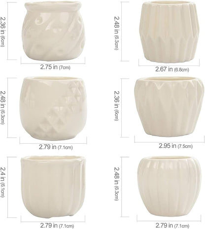 B SEPOR Set of 6 White Simple Porcelain Planters for Small Plant Pots Baby Succulent Cactus with Drainage and Saucer for Home Office Decoration Gift(White Stripes)
