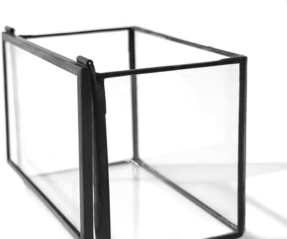 4 Inches Mini Glass Terrarium Set of 2 with Lid - Tiny Rectangle Glass Container Box for Succulents, Air Plants, Fairy Garden, Home Decor (10x7x6cm & 7x6x10cm)