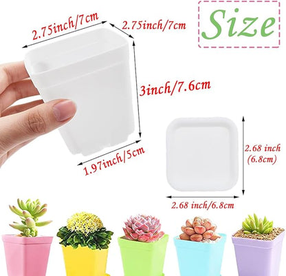 Haawooky 48 PCS 3 Inch Colorful Plastic Plant Pot,Plastic Square Nursery Pots,Seedling Nursery Pots with Saucers for Garden,Home,Office,Balcony Decor,Garden Gifts