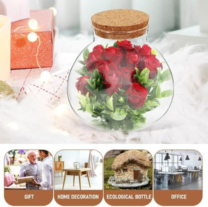 2pcs Round Glass Jar Terrarium Container Ball Succulent Plant Terrarium Buds Vases Easter Candy Jar Message Wishes Bottle with Cork Lid for Plant 15cmx16