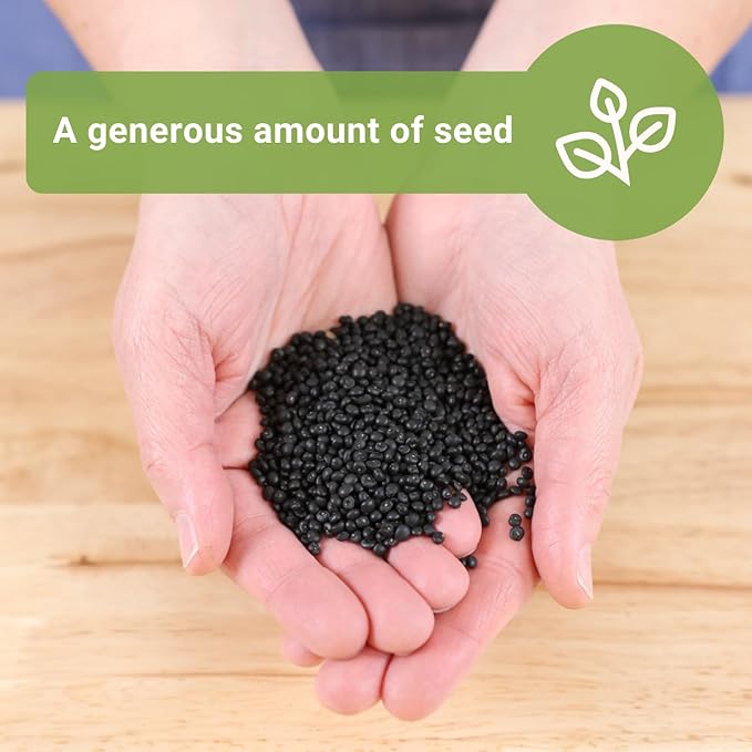 Sow Right Seeds - Bulk Mary Washington Asparagus Seeds for Planting - 1 Ounce, 1600 Seeds - Non-GMO HeirloomJumbo Pack with Instructions to Plant a Home Vegetable Garden - Grow Asparagus for Years