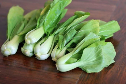 Seeds Chinese Cabbage Bok Choy - Heirloom Vegetable - GMO Free