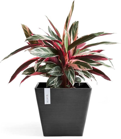 Ecopots Rotterdam Durable Modern Square Indoor/Outdoor Recycled-Based Composite Flower Planter, Dark Grey, 15.75"