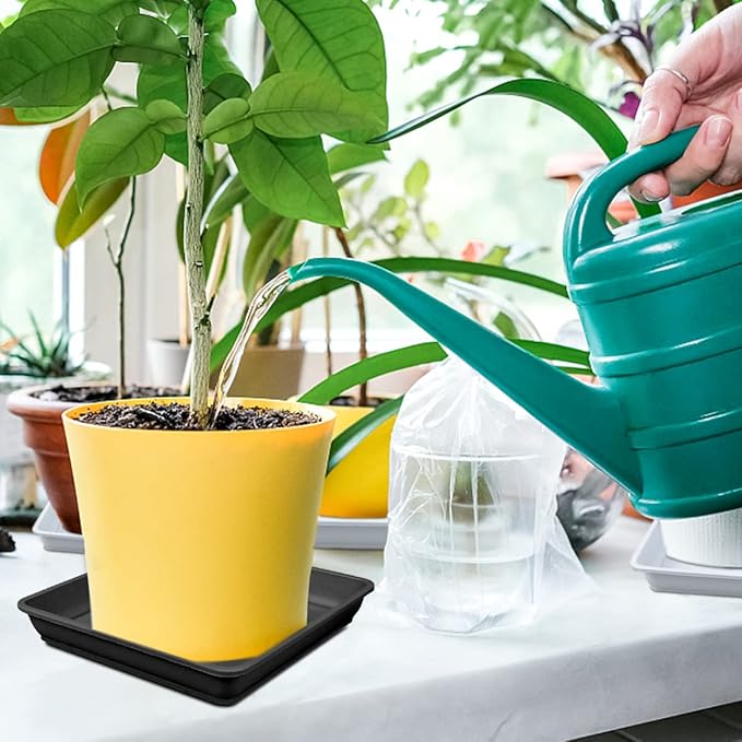 10 Pcs 6 Inch Square Plastic Plant Saucer Flower Pot Bottom Seat Flower Pot Tray Thick Plastic Drip Tray for Garden Potted Water Drips and Soil （Black）