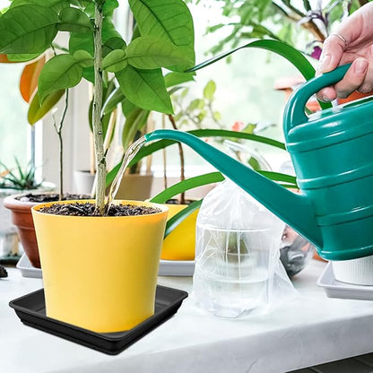 10 Pcs 6 Inch Square Plastic Plant Saucer Flower Pot Bottom Seat Flower Pot Tray Thick Plastic Drip Tray for Garden Potted Water Drips and Soil （Black）