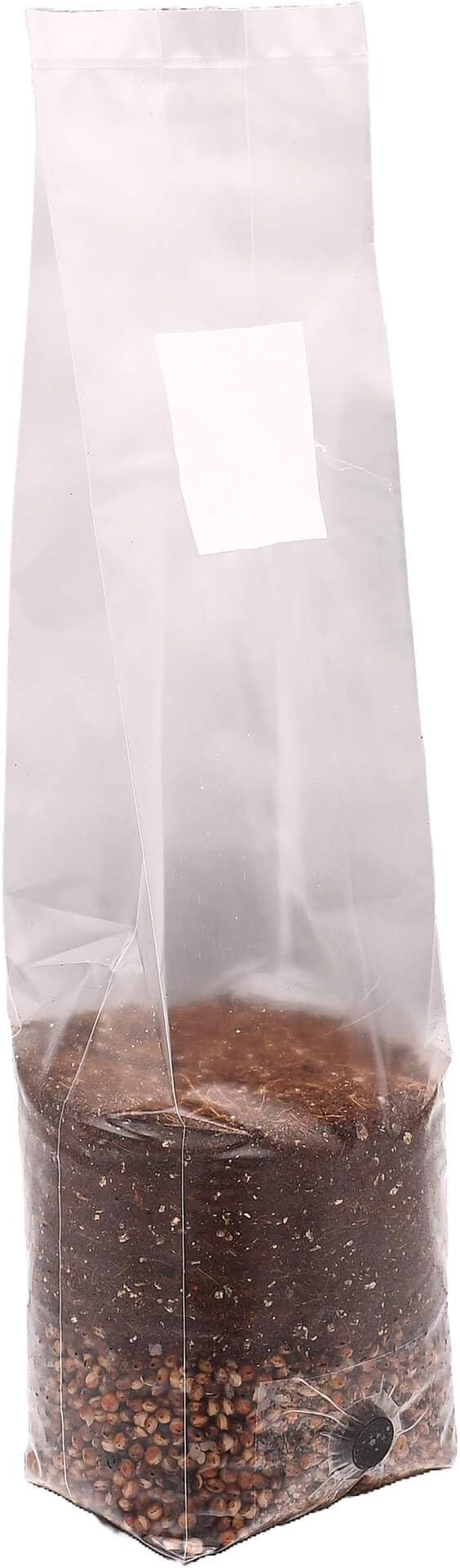 Mini Red Milo All-in-One Mushroom Grow Bag