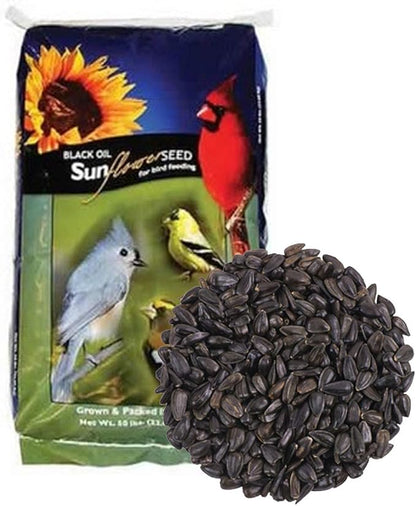 CountryMax Backyard Seeds Black Oil Sunflower Seeds for Wild Birds 50lbs - Thin Shells, Premium Cardinal Food, Large Bulk Bag of Black Oil Sunflower Seeds
