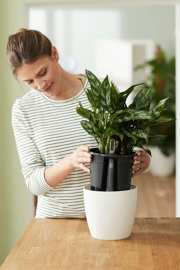 elho Self-Watering Insert 17 - Accessory for Indoor Plant Pots - Ø 17.0 x H 15.8 cm - Black/Living Black