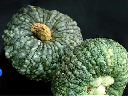 Marina Di Chioggia Bumpy Blue Pumpkin Seeds - 12 Seeds - One of The Most Intereting and Decorative Pumpkins as Well as Delicious