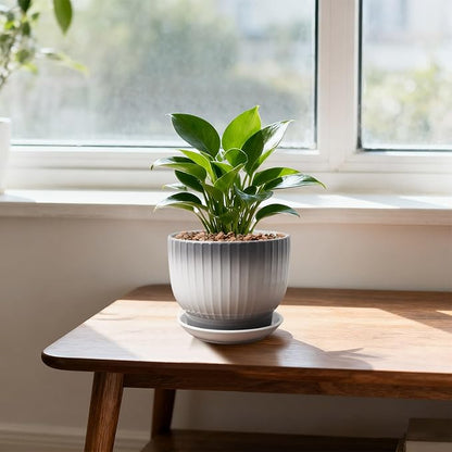 Ceramic Plant Pots,6.7 Inch,Set of 2,Planters with Drainage Hole and Saucer,Flower pots for Indoor Plants,Modern Design(Gray+White)