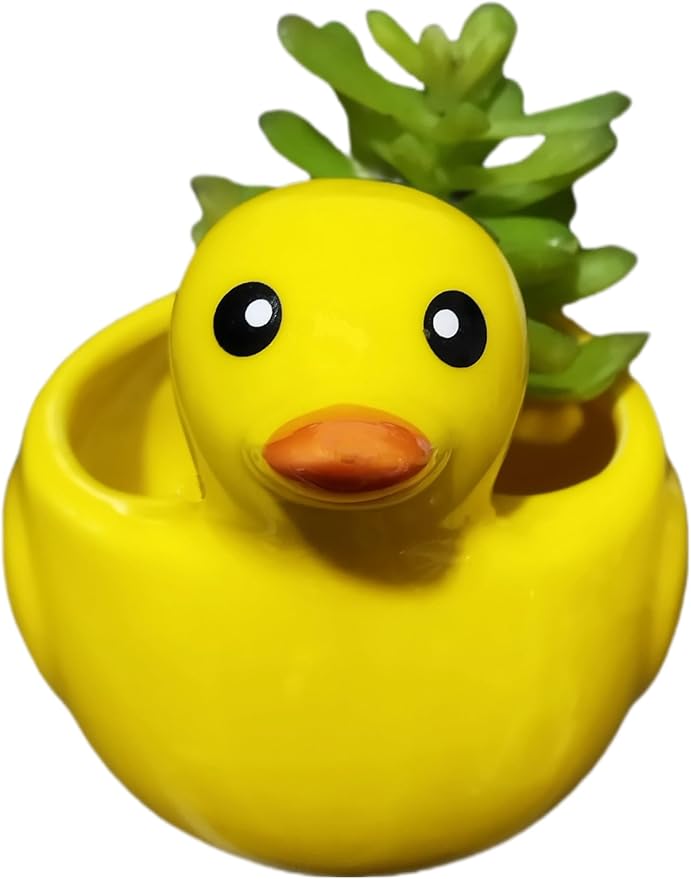 Cute Indoor Cartoon Animal Duck Shaped Ceramic Succulent Cactus Flower Plant Pots Planter with Drainage Hole - Plant Not Included (Medium)