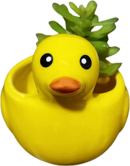 Cute Indoor Cartoon Animal Duck Shaped Ceramic Succulent Cactus Flower Plant Pots Planter with Drainage Hole - Plant Not Included (Medium)