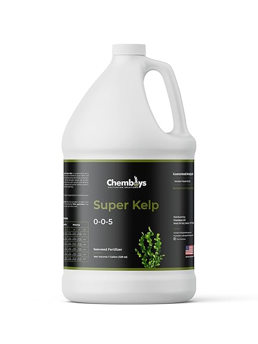 Chemboys Super Kelp Liquid Seaweed Fertilizer – Kelp Plant Food Supplement for Plant Growth Bloom & Yield Boost – Liquid Kelp Seaweed Concentrate Garden Fertilizer - 15 Gallon