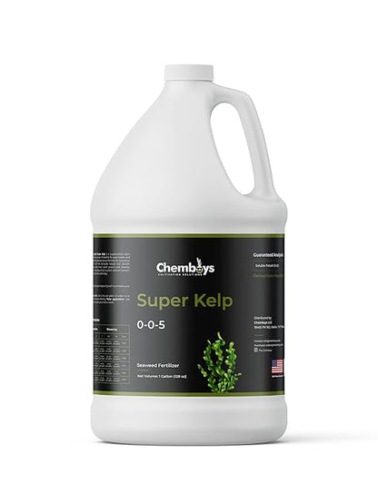 Chemboys Super Kelp Liquid Seaweed Fertilizer - Plant Food Supplement for Growth, Bloom & Yield Boost - Concentrate Garden Fertilizer - 5 Gallon