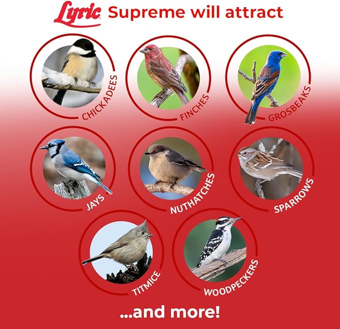 Lyric Supreme Wild Bird Seed for Outside Feeders - Wild Bird Food Mix with Nuts & Sunflower Seeds, Attracts Many Beautiful Songbirds, 13.5 lb (Pack of 3-4.5 lb Bags)