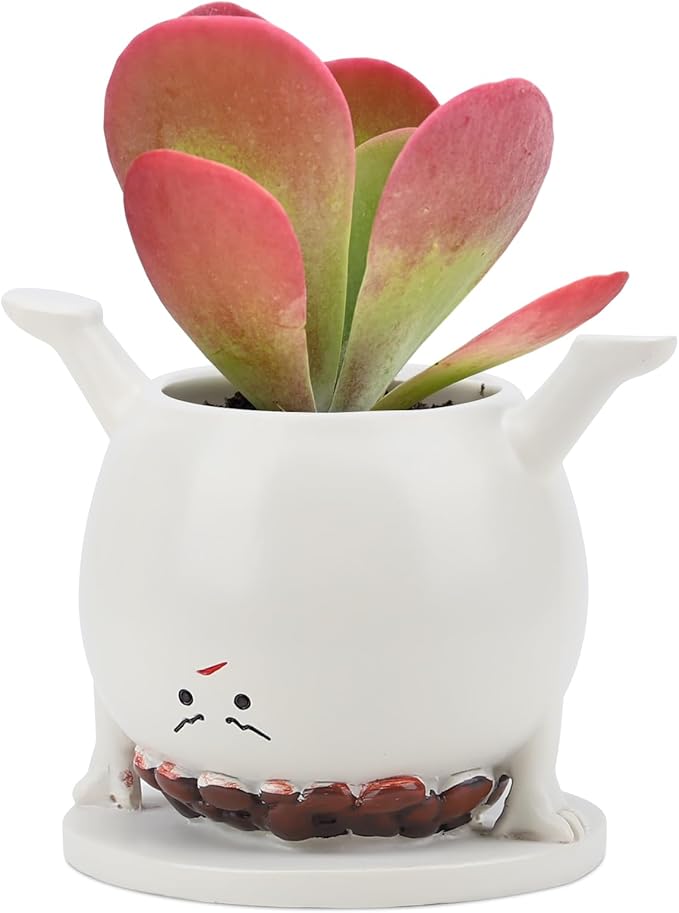 Smily Face Planter Pots Head, Flower Pot Planters for Indoor Outdoor, Happy Succulent Pot, Funny Plant Pots for Succulent with Drainage Holes Gift Ideas for Mother's Day, Birthday, Teacher Gifts