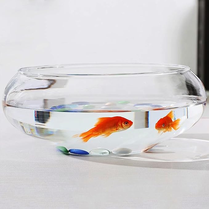 Lotus Bowl Planter Glass Lotus Bowls for Planting in Water Indoors Bonsai Pots No Drainage Hole Hydroponic Aquatic Plants Terrarium Fish Bowl Medium