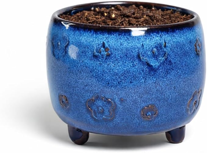 Arktiva Ceramic Planter Pot w/Drainage, 4.75 Inch Dia, Indoor Outdoor, Home Patio Garden, Plants, Flower Succulent, Glazed Plum Blossom Round