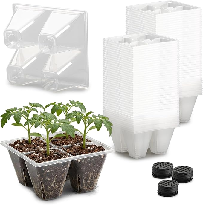 80 Pack Reusable 4-Cell Clear Seed Starter Trays - Extra Large Drainage Holes, Easy Transplant, Clear Transparent Tray for Root Observation, Seed Starting, Fits Standard 1020 Flats