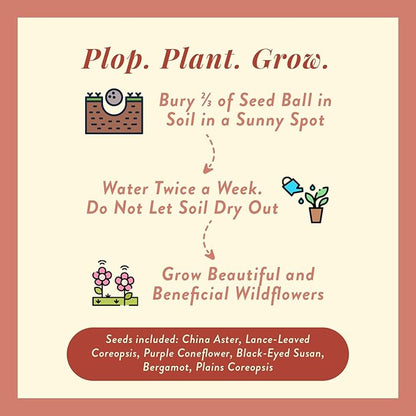 Modern Sprout Wildflower Seed Ball Poop - Christmas Gift - Non-GMO, Hand-Rolled Clay Seed Bombs with Wildflower Seeds - Plop Plant & Grow Gardening Gift Set for Kids & Adults (Jingle Plop - Pack of 3)