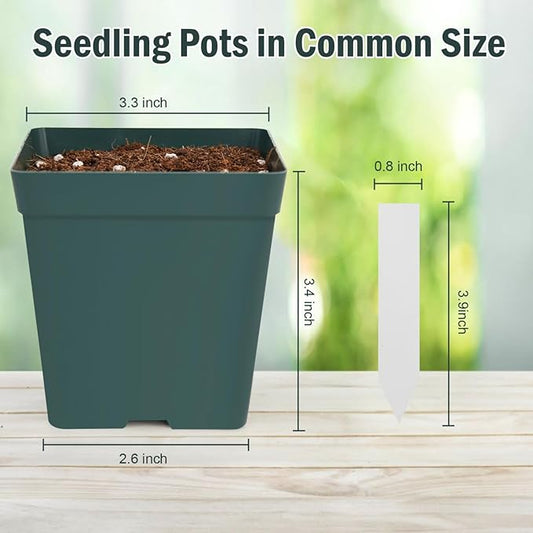 June Fox 100 Pack Green Square Nursery Pots with Drainage Holes 3.3 Inches Flexible Plastic Seedling Pots Square Pots for Plants, Succulent, Flower, with Plant Labels