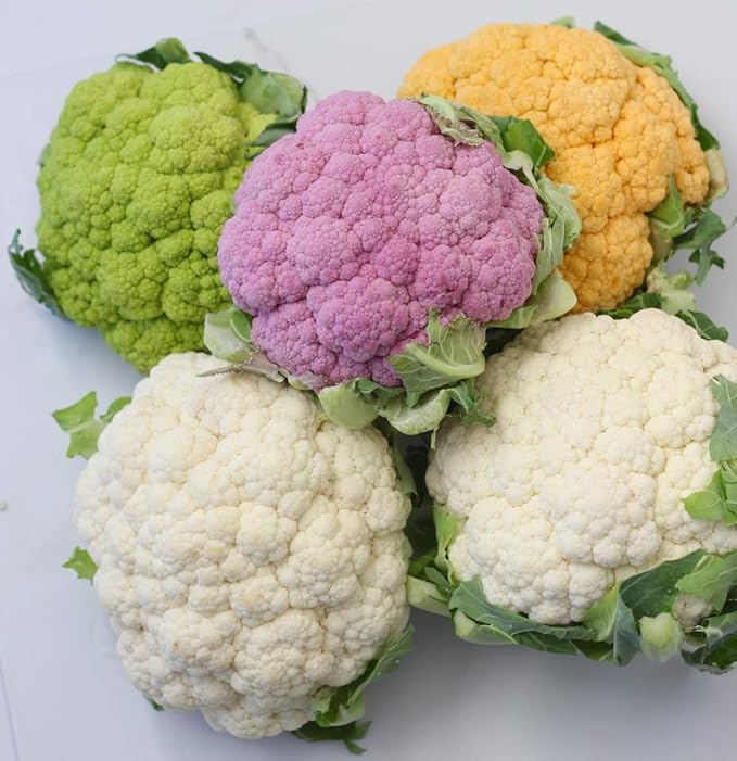 300+ Seeds Cauliflower Mix Cabbage - Vegetable Multicolor