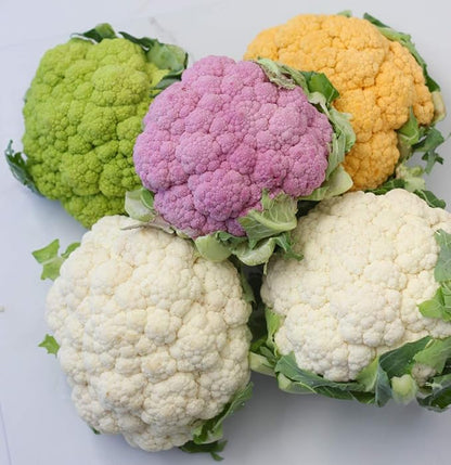 300+ Seeds Cauliflower Mix Cabbage - Vegetable Multicolor