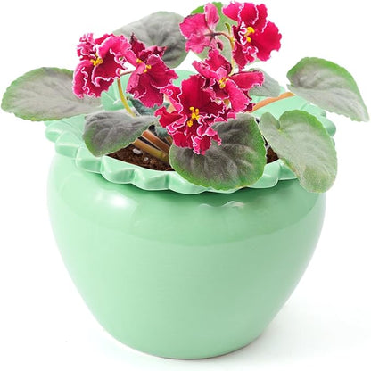 African Violet Flower Pot Ceramic Self Watering Planter Pot 6.5 * 4.6 * 4 inch Simple Plant Self Watering Pot Green Indoor Flowers High Absorption Herbaceous Flower Pots Modern